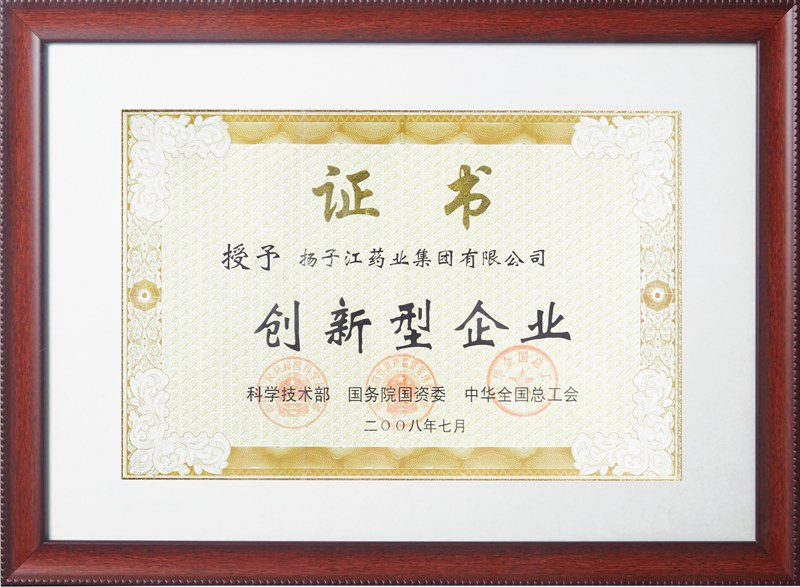 创新型企业（2008）