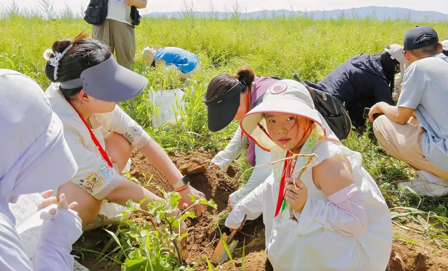 深度溯源有机品质，第二届717龙凤堂有机黄芪节在固阳举办