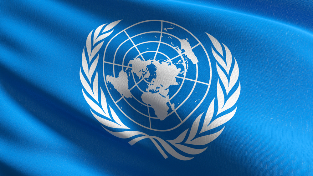 https://www.mensrightsalberta.com/wp-content/uploads/2020/12/United-Nations-shutterstock-paid.jpg